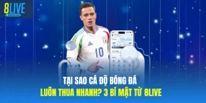 Tại Sao Cá Độ Bóng Đá Luôn Thua Nhanh? 3 Bí Mật Từ 8LIVE