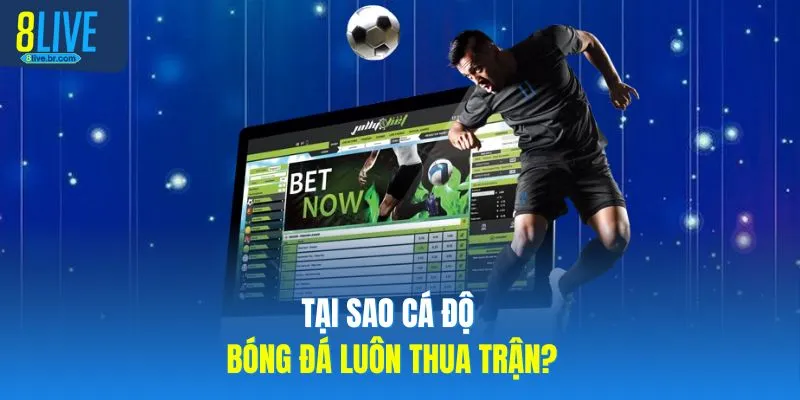 Tại sao cá độ bóng đá luôn thua trận? 